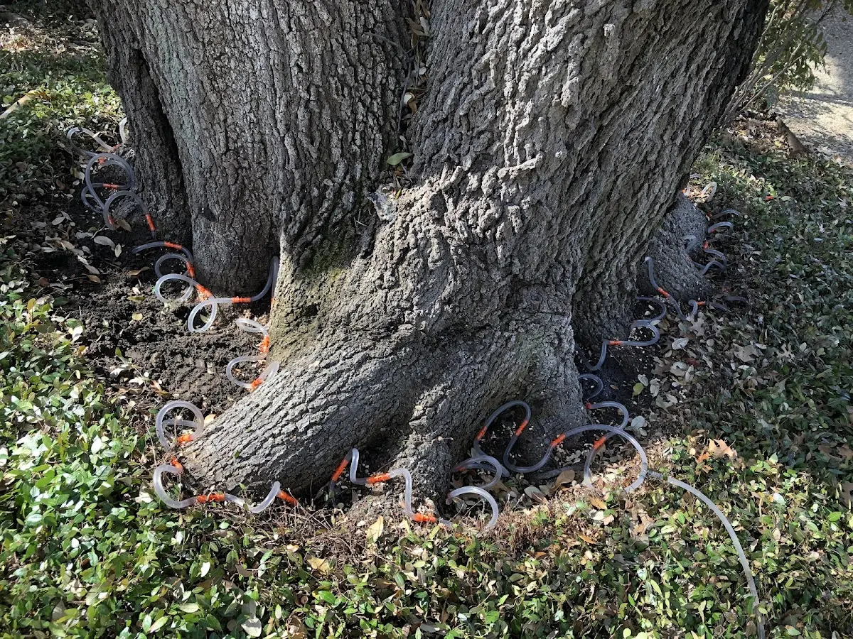 Detailed Shrub and Hedge Trimming job site in Fort Harrison