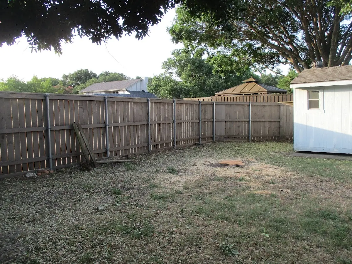 Cleared yard after professional tree removal in Fort Harrison